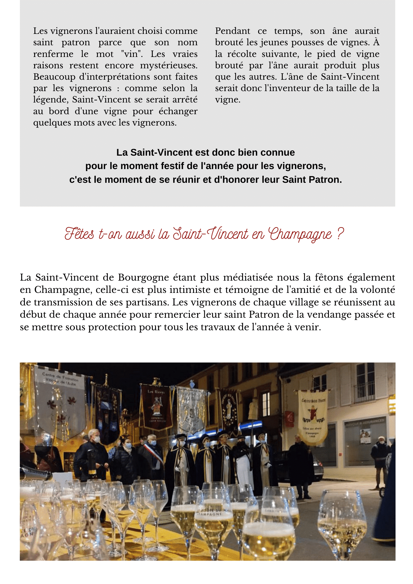 La Saint-Vincent en Champagne !